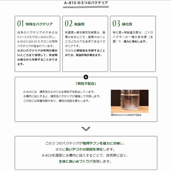 ������ѽ����Х��ƥꥢ A-810 500ml  [4580052390060]