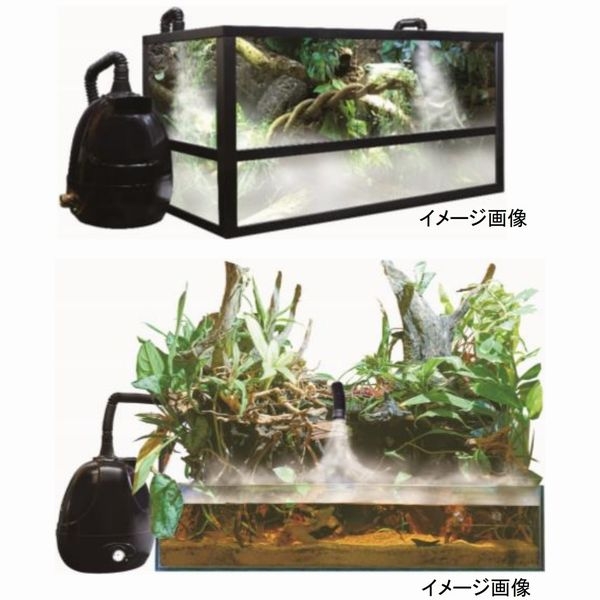 petpetzone Fog �ե��� ����ࡦ��ʪ�Ѳü��[4934743017390]