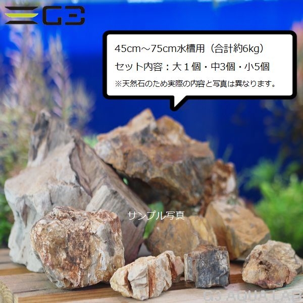 ���ߥϥ� �ڲ��� �쥤�����ȥ��å� [4971664964785]