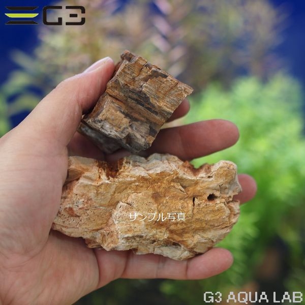 ���ߥϥ� �ڲ��� �쥤�����ȥ��å� [4971664964785]