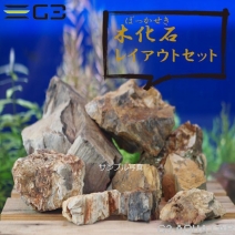 ���ߥϥ� �ڲ��� �쥤�����ȥ��å� [4971664964785]