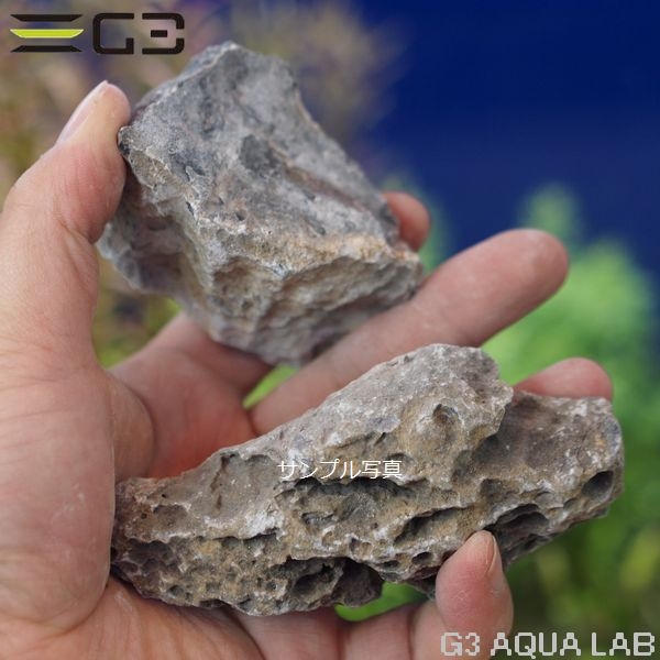 ���ߥϥ� �Ĳ��� �쥤�����ȥ��å� [4971664964761]