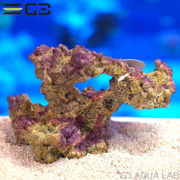 ZEST����ץꥫ���󥴡�L-2��[4934743012487]