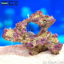 ZEST����ץꥫ���󥴡�L-2��[4934743012487]