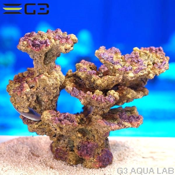 ZEST����ץꥫ���󥴡�L-3��[4934743012494]