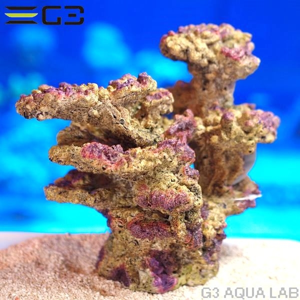 ZEST����ץꥫ���󥴡�L-3��[4934743012494]