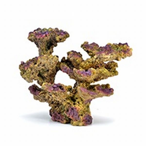 ZEST����ץꥫ���󥴡�L-3��[4934743012494]