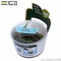 �֥ꥯ��������ݥ˥���̵�����ȿ����ܡ�[C3055]