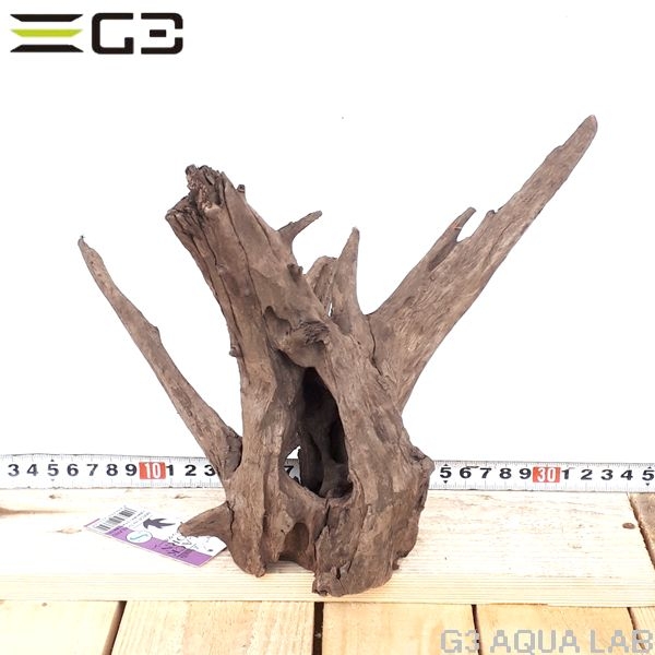 No,114�����ͥ��ߥե����֥�å��ۡ���ή�ڡ�S������