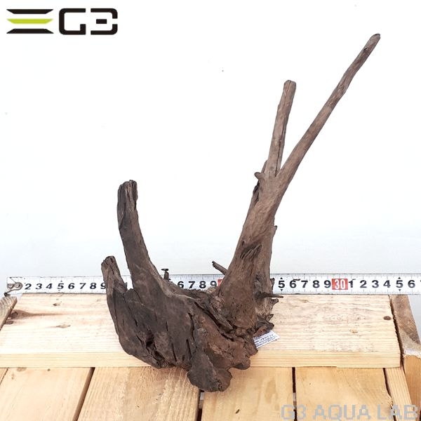 No,115�����ͥ��ߥե����֥�å��ۡ���ή�ڡ�S������