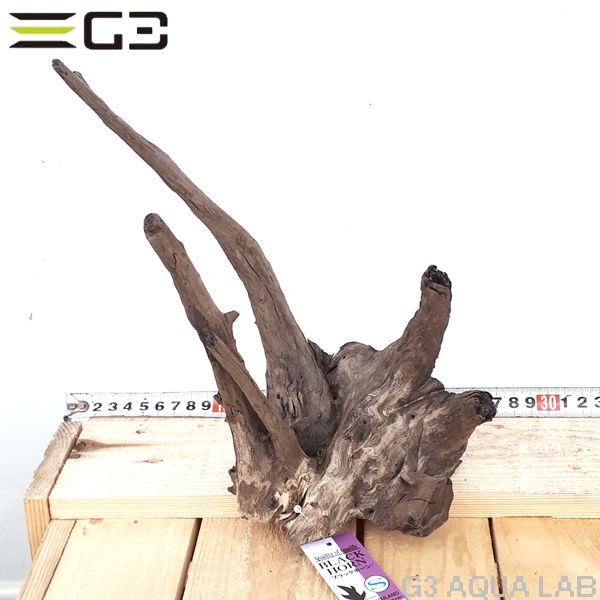 No,115�����ͥ��ߥե����֥�å��ۡ���ή�ڡ�S������