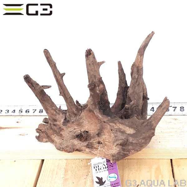 No,116�����ͥ��ߥե����֥�å��ۡ���ή�ڡ�S������