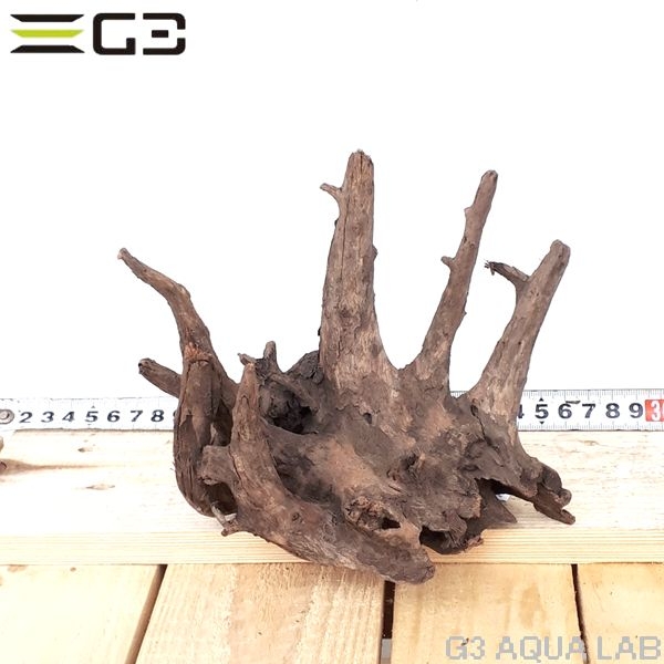 No,116�����ͥ��ߥե����֥�å��ۡ���ή�ڡ�S������