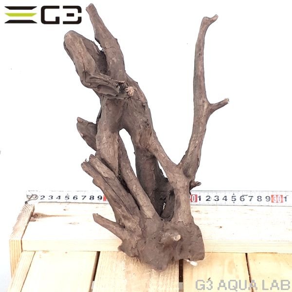 No,153�����ͥ��ߥե����֥�å��ۡ���ή�ڡ�M������