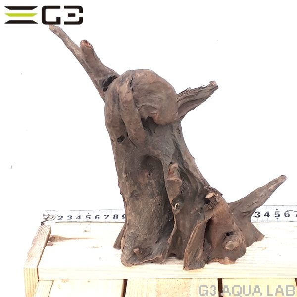 No,153�����ͥ��ߥե����֥�å��ۡ���ή�ڡ�M������