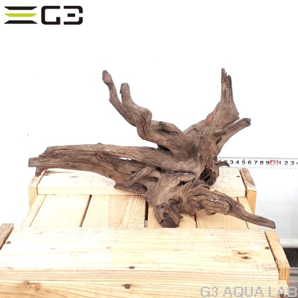 No,154�����ͥ��ߥե����֥�å��ۡ���ή�ڡ�M������