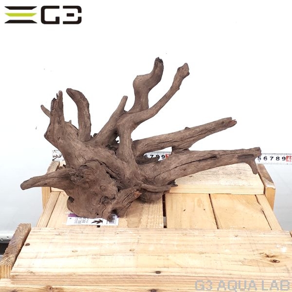 No,154�����ͥ��ߥե����֥�å��ۡ���ή�ڡ�M������