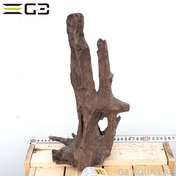 No,155�����ͥ��ߥե����֥�å��ۡ���ή�ڡ�M������