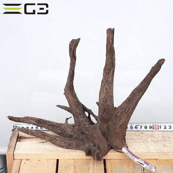 No,157�����ͥ��ߥե����֥�å��ۡ���ή�ڡ�M������