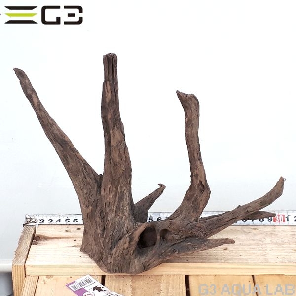 No,157�����ͥ��ߥե����֥�å��ۡ���ή�ڡ�M������