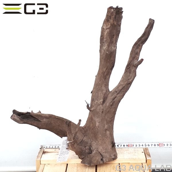 No,172�����ͥ��ߥե����֥�å��ۡ���ή�ڡ�L������