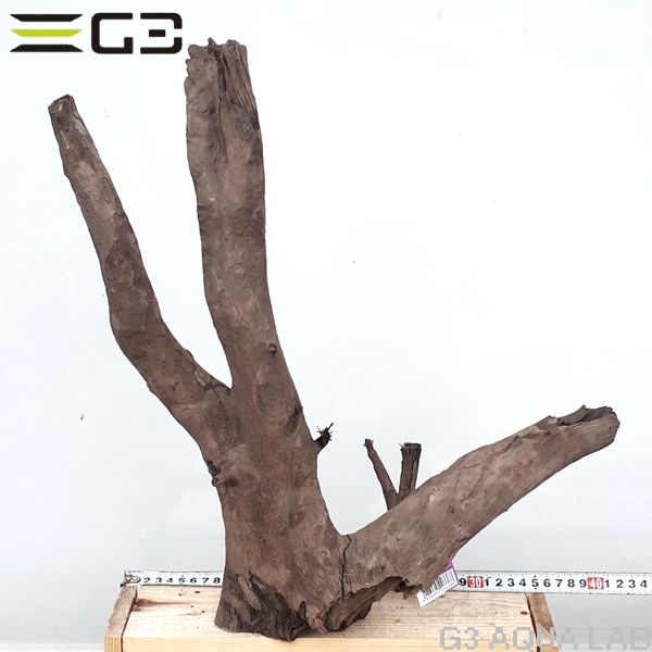 No,172�����ͥ��ߥե����֥�å��ۡ���ή�ڡ�L������