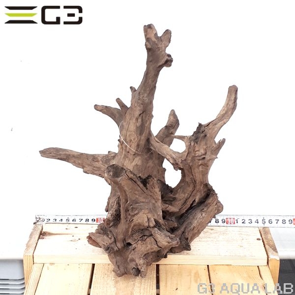 No,173�����ͥ��ߥե����֥�å��ۡ���ή�ڡ�L������