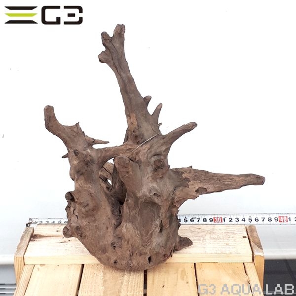 No,173�����ͥ��ߥե����֥�å��ۡ���ή�ڡ�L������