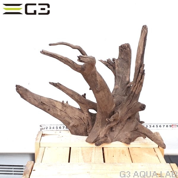 No,174 ソネケミファ ブラックホーン流木 Lサイズ