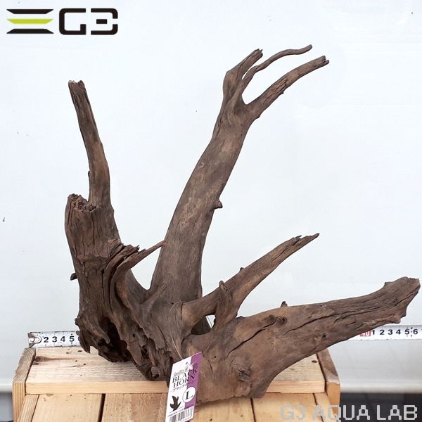 No,174�����ͥ��ߥե����֥�å��ۡ���ή�ڡ�L������