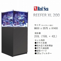 REEFER XLǥ 200 ֥åW600 x D575 x H530mm