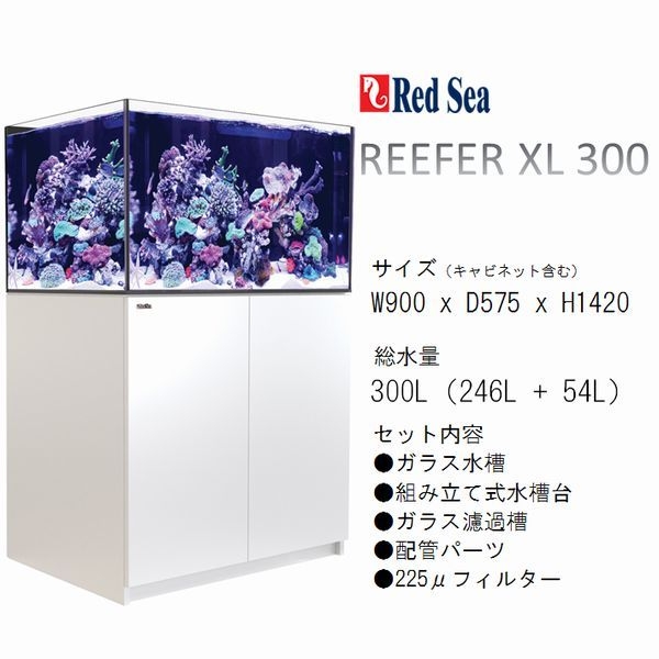 REEFER XLǥ 300 ۥ磻ȡW900 x D575 x H550mm