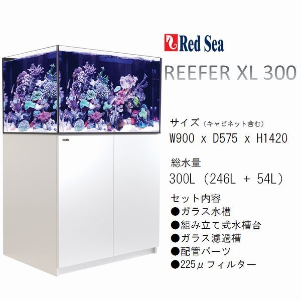 REEFER XLモデル 300 ホワイト（W900 x D575 x H550mm）