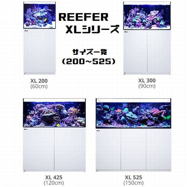 REEFER XLモデル 300 ホワイト（W900 x D575 x H550mm）