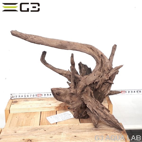 No,175�����ͥ��ߥե����֥�å��ۡ���ή�ڡ�L������