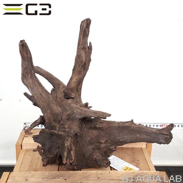 No,176 ソネケミファ ブラックホーン流木 Lサイズ