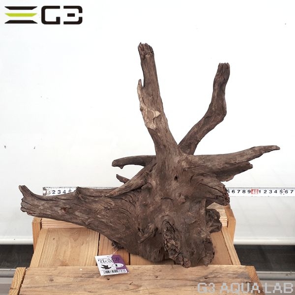 No,176�����ͥ��ߥե����֥�å��ۡ���ή�ڡ�L������