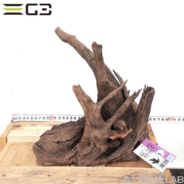 No,178�����ͥ��ߥե����֥�å��ۡ���ή�ڡ�L������