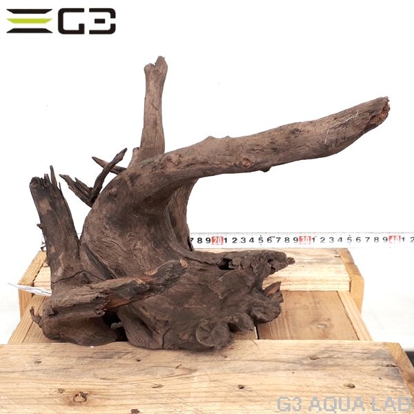 No,178�����ͥ��ߥե����֥�å��ۡ���ή�ڡ�L������