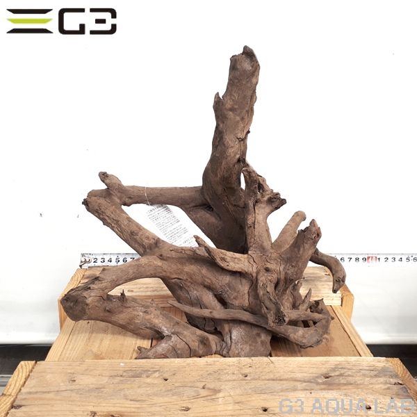 No,179�����ͥ��ߥե����֥�å��ۡ���ή�ڡ�L������