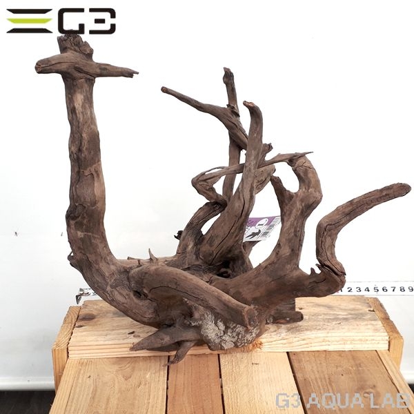 No,180�����ͥ��ߥե����֥�å��ۡ���ή�ڡ�L������