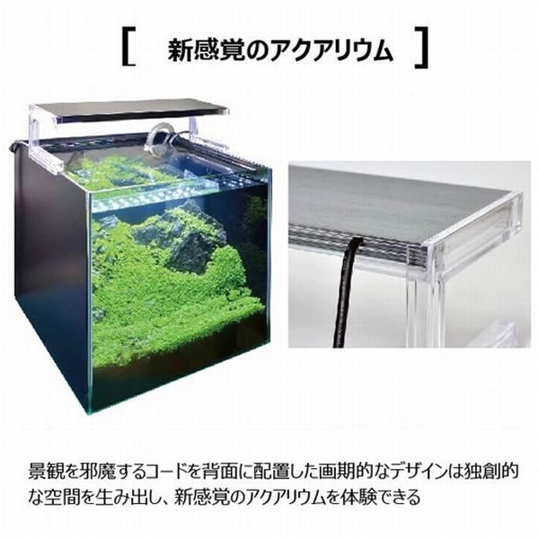 󥹥 ʥΥӥ ۥ磻 300[4934743017239]