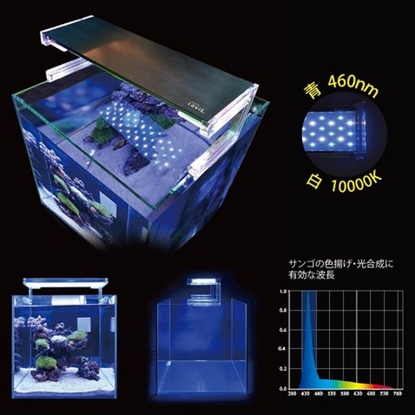 ���󥹥� �ʥΥ�ӥ� �֥롼�ۥ磻�� 450��[4934743017260]