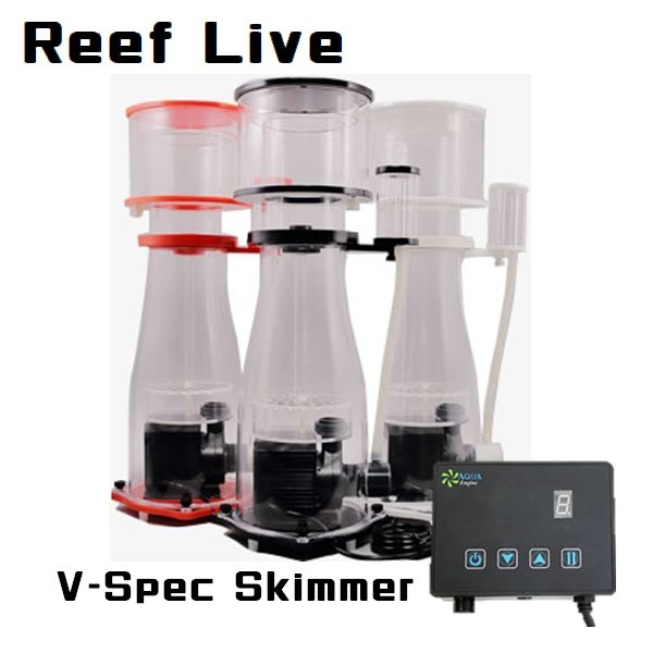 【取り寄せ】Reef Live V-Spec 300 (白/赤/黒)