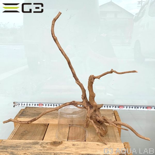 No,47 ADAブランチウッド風流木 サイズ約25〜55cm