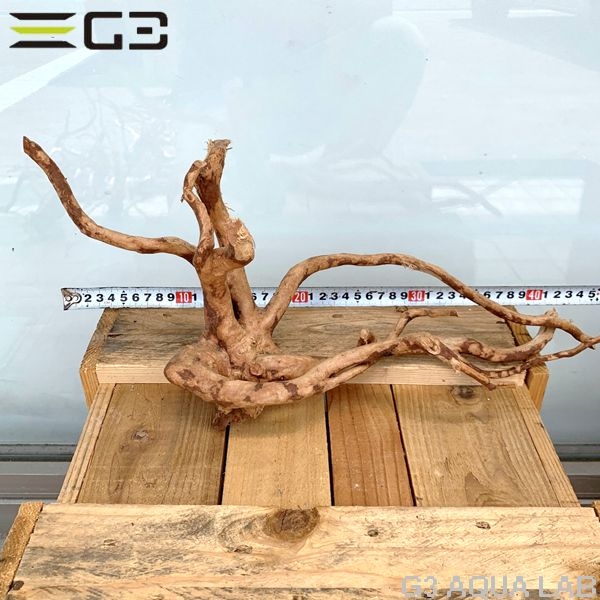 No,49��ADA�֥������å���ή�ڡ���������25��55cm