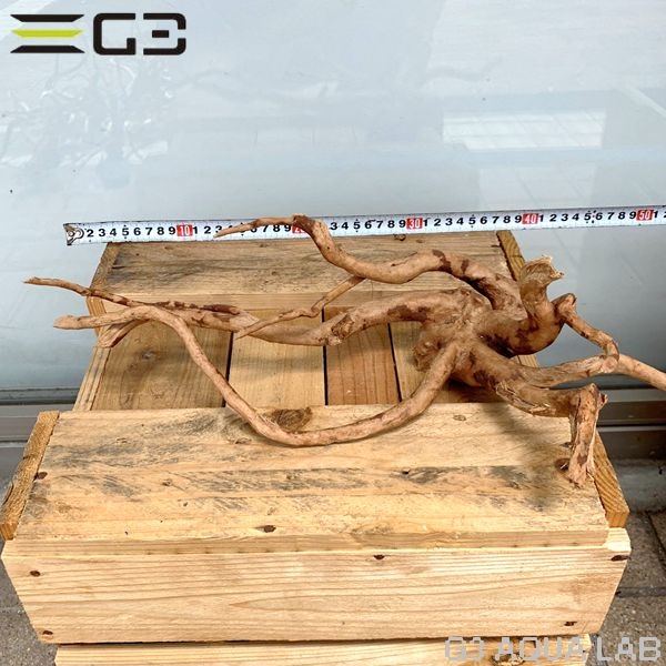 No,49 ADAブランチウッド風流木 サイズ約25〜55cm