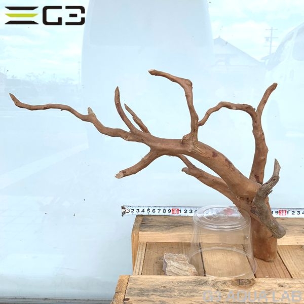 No,50 ADAブランチウッド風流木 サイズ約25〜55cm