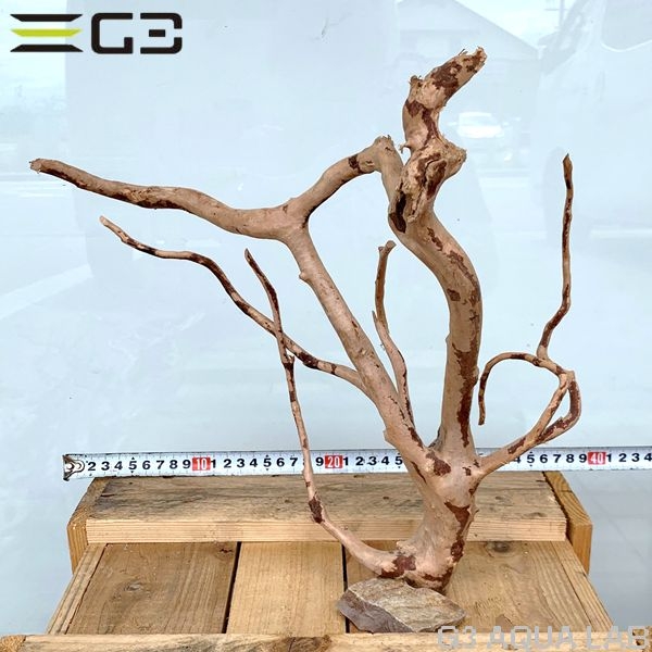 No,53 ADAブランチウッド風流木 サイズ約25〜55cm