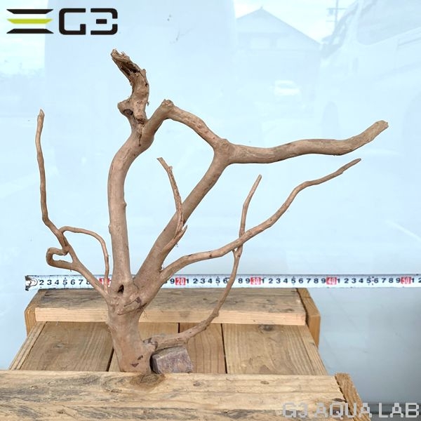 No,53 ADAブランチウッド風流木 サイズ約25〜55cm